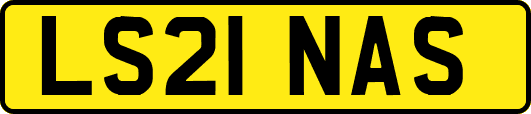 LS21NAS