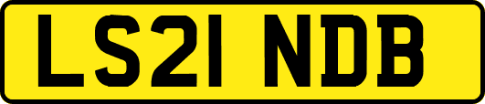 LS21NDB