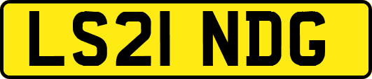 LS21NDG