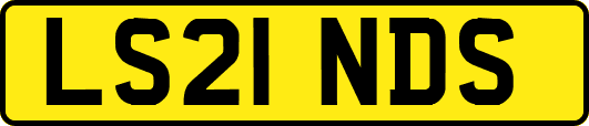 LS21NDS