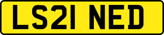 LS21NED