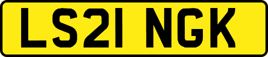 LS21NGK