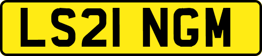 LS21NGM