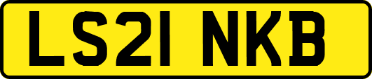 LS21NKB
