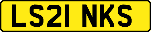 LS21NKS