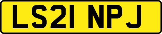 LS21NPJ