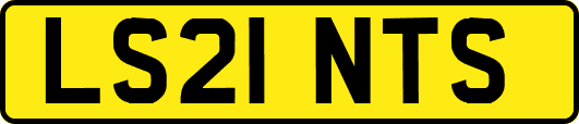 LS21NTS