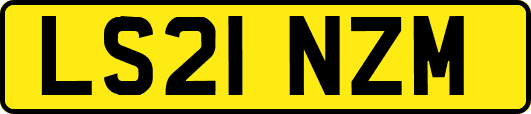 LS21NZM