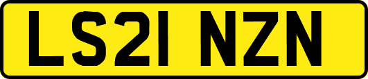 LS21NZN