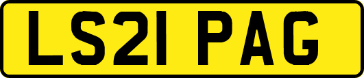 LS21PAG