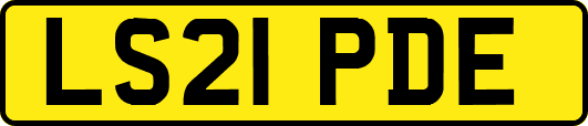 LS21PDE