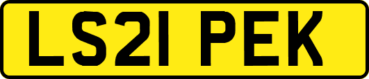 LS21PEK
