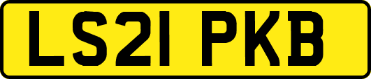 LS21PKB