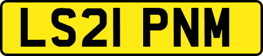 LS21PNM