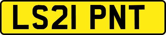LS21PNT