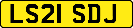 LS21SDJ