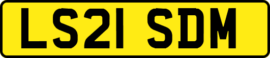 LS21SDM