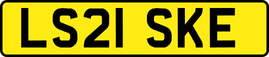 LS21SKE