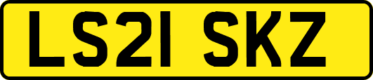 LS21SKZ