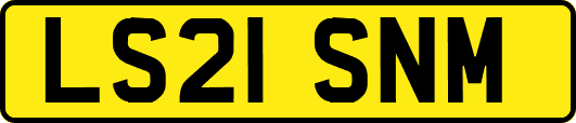 LS21SNM