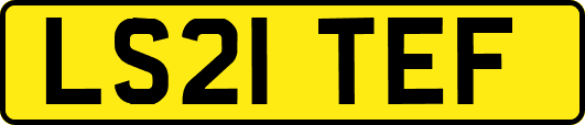 LS21TEF
