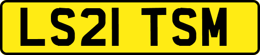 LS21TSM