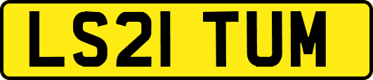LS21TUM