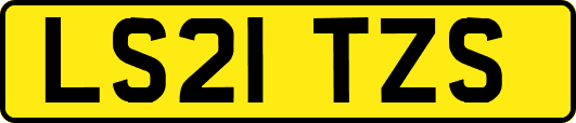 LS21TZS