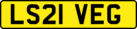 LS21VEG