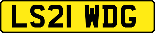 LS21WDG