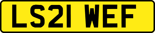 LS21WEF