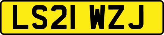 LS21WZJ
