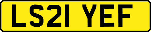 LS21YEF