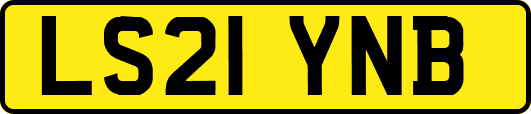 LS21YNB