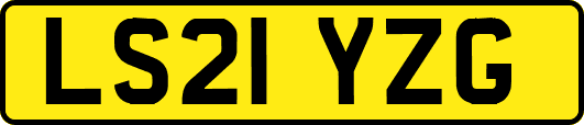 LS21YZG