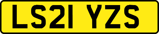 LS21YZS
