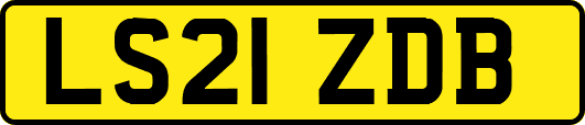 LS21ZDB