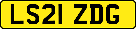 LS21ZDG
