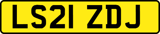 LS21ZDJ