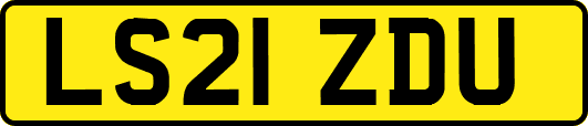 LS21ZDU