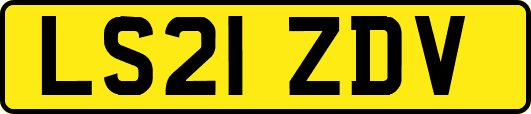 LS21ZDV