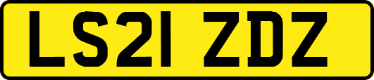LS21ZDZ