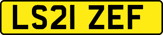 LS21ZEF