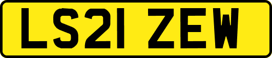 LS21ZEW