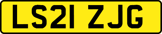 LS21ZJG