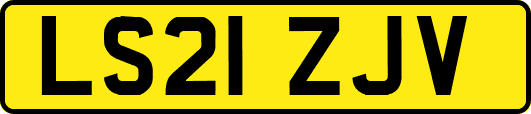 LS21ZJV
