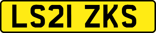 LS21ZKS