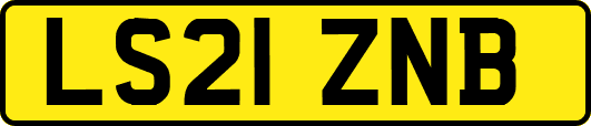 LS21ZNB