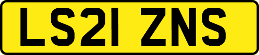 LS21ZNS