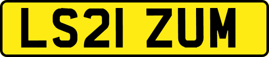 LS21ZUM